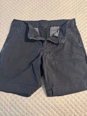 American Eagle Outfitters Men’s Dark Navy Flat Front Shorts